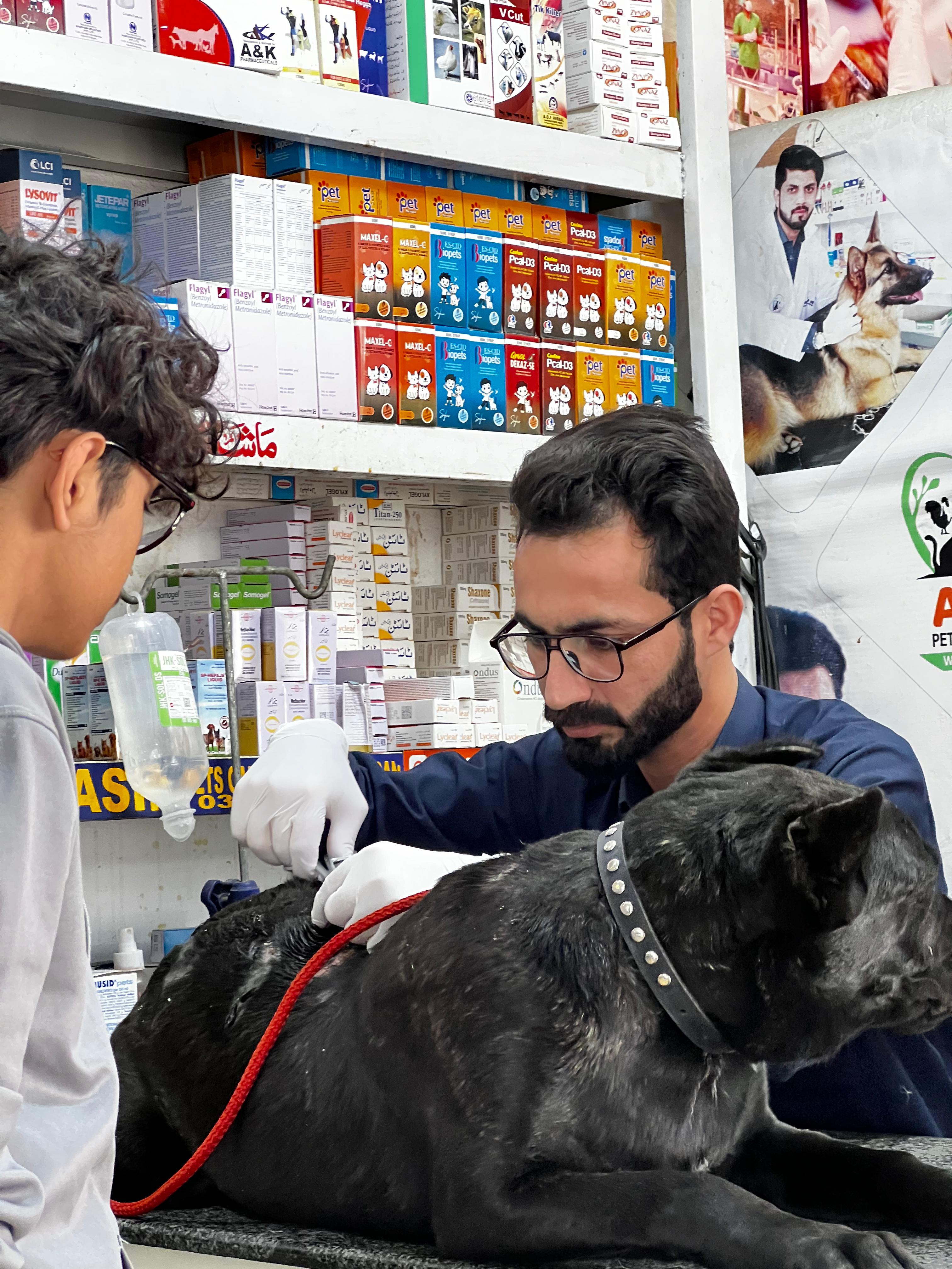 Veterinarians treating a dog at Dr Asim Pets Care Hospital