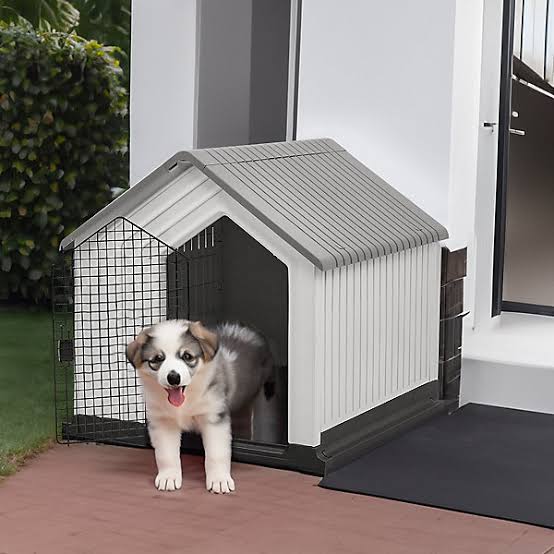 Puppy standing at entrance of a premium dog house