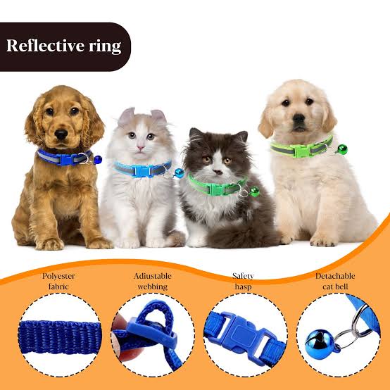 Reflective collars and leashes for dogs and cats