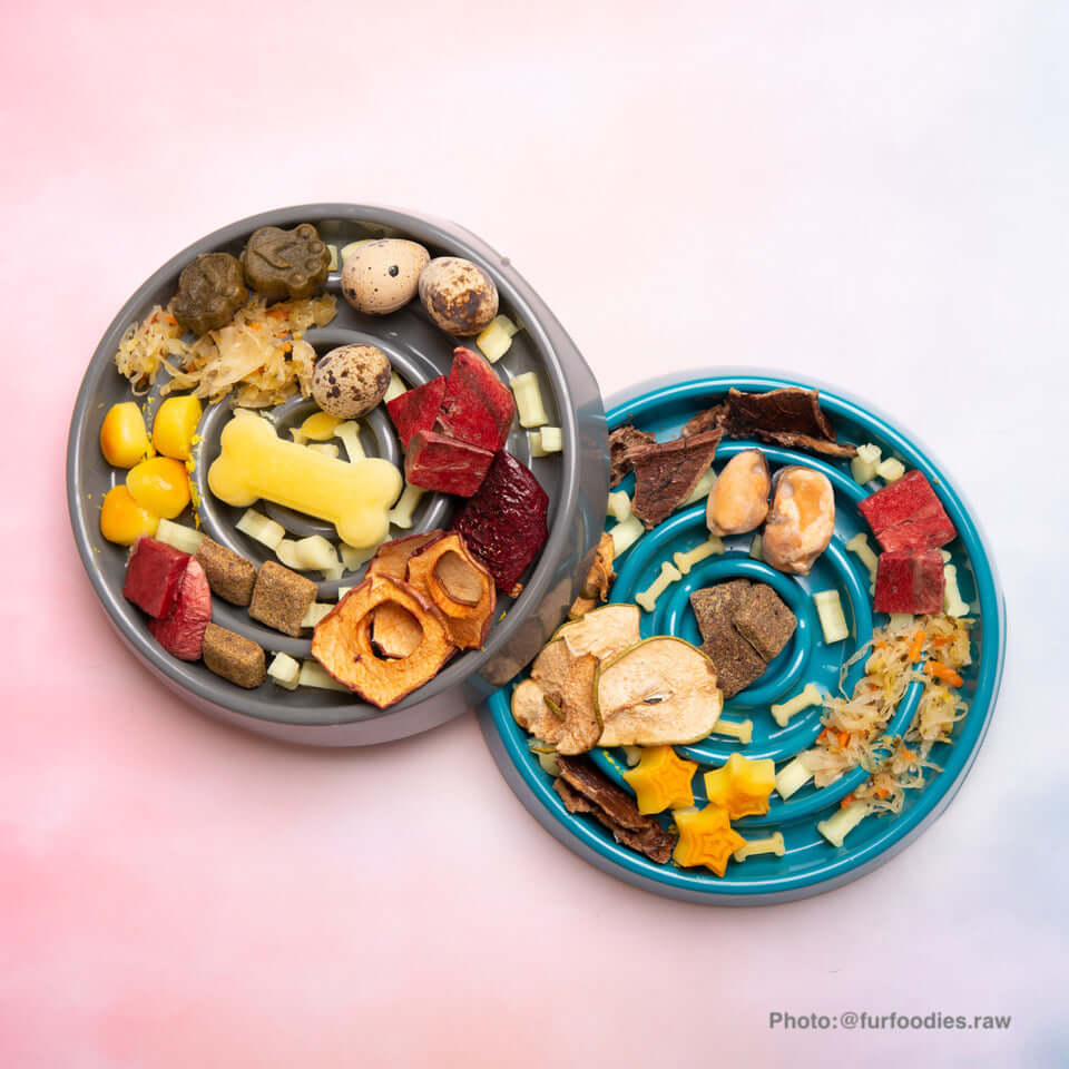 Premium slow-feeder bowls filled with nutritious pet food
