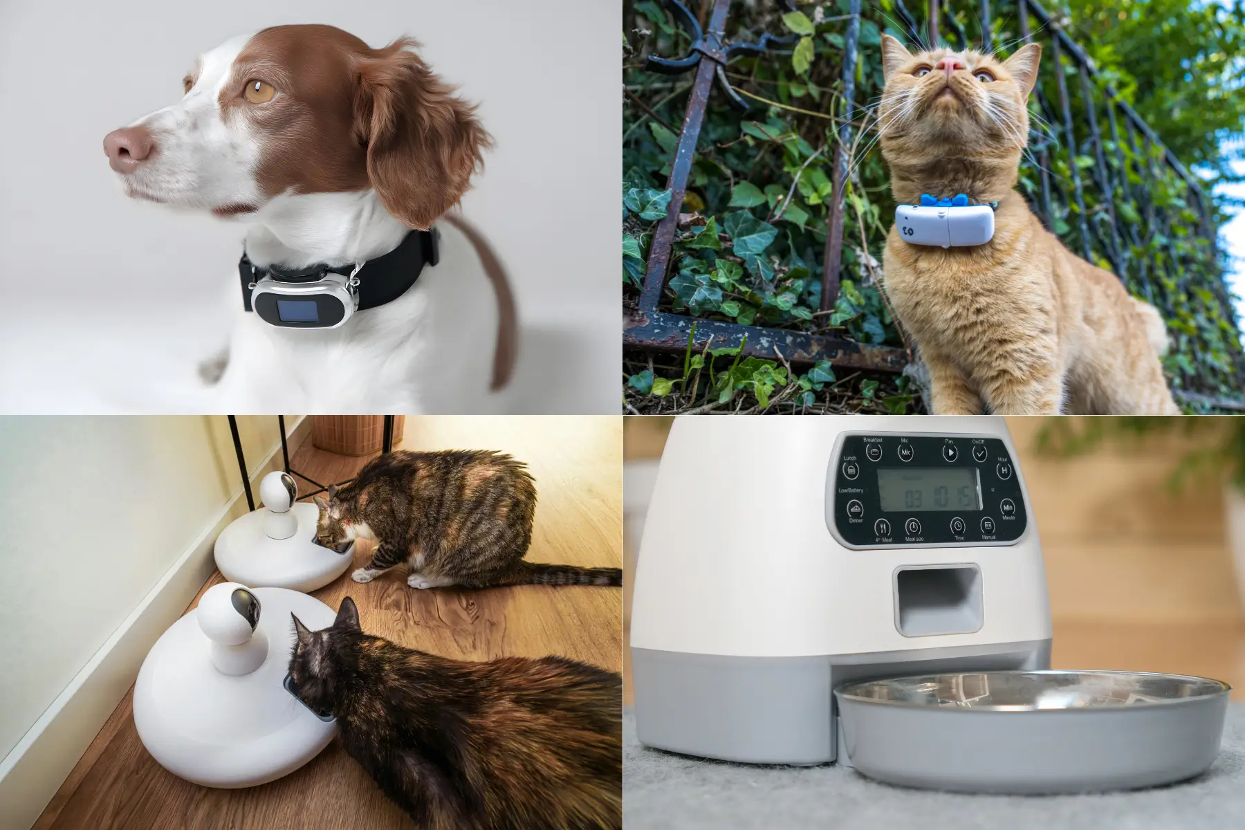 Modern pet gadgets including GPS trackers and automatic feeders