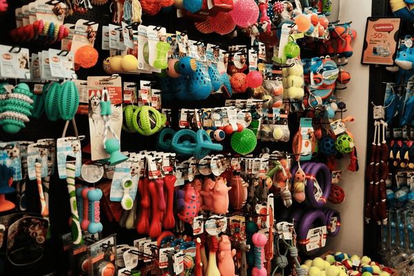 Wide range of pet accessories and toys on display