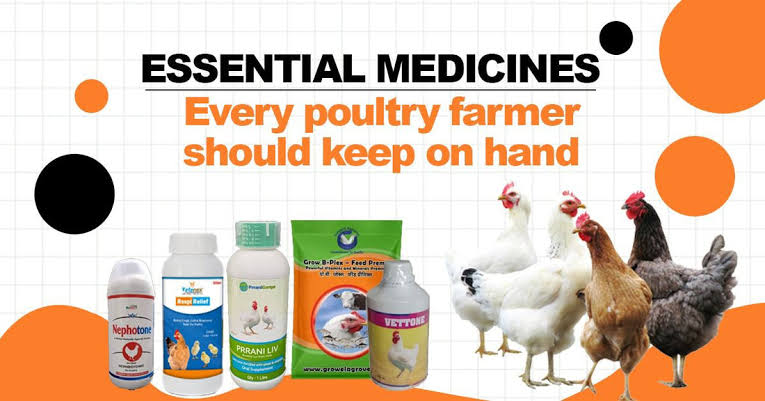 Essential poultry medicines and supplements for farmers