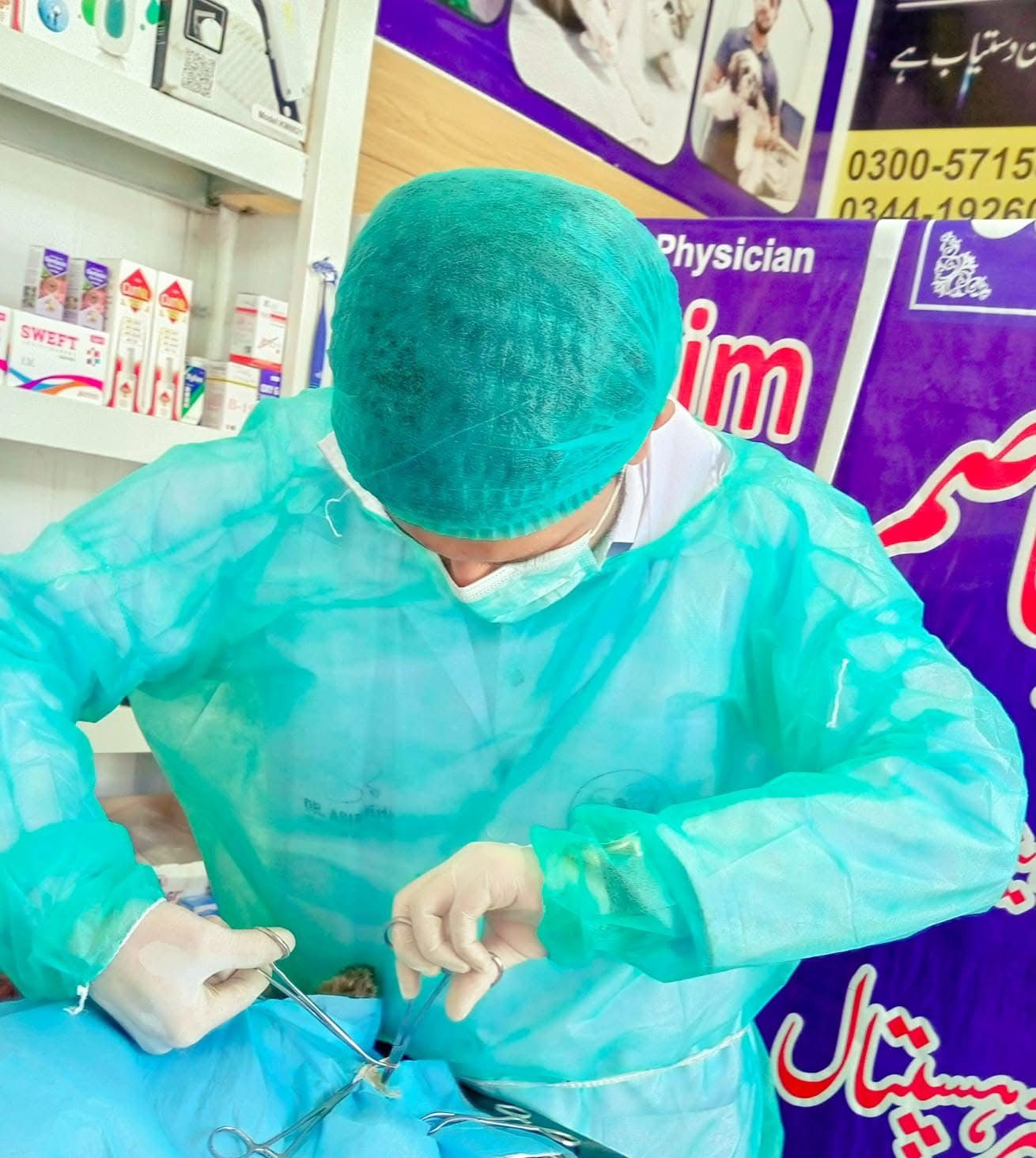 Veterinary surgeon performing surgery